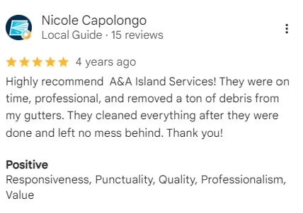 Five-star Google review of A&A Island Services by Nicole Capolongo: Highly recommend A&A Island Services! They were on time, professional, and removed a ton of debris from my gutters. They cleaned everything